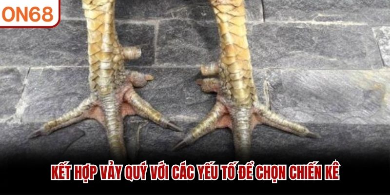 Kết hợp vảy qu&yacute; với c&aacute;c yếu tố để chọn chiến k&ecirc;