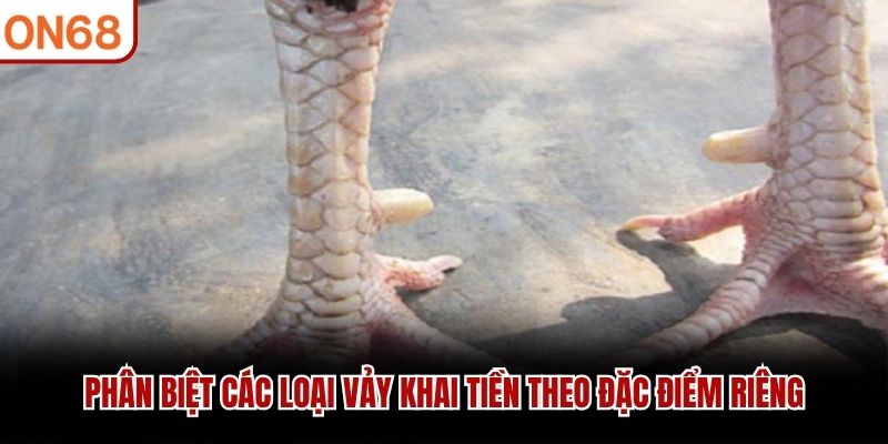 Ph&acirc;n biệt c&aacute;c loại vảy Khai Tiền theo đặc điểm ri&ecirc;ng
